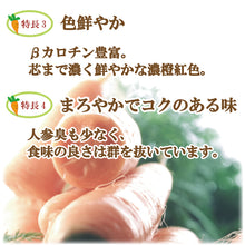 画像をギャラリービューアに読み込む, にんじんりんごジュース│ 四季の雫 冬人参の力とふじ林檎の恵 フロリダスモーニング 195gカートカン×30本 SKCF-5h