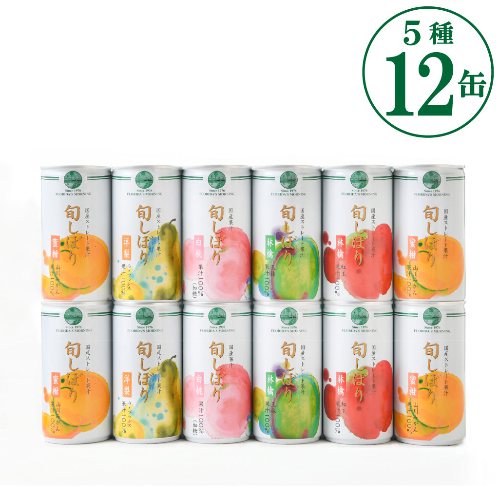 ダリヤ　モーニングセット ダリヤモーニングセット□箱なし